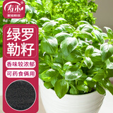 寿禾 罗勒种子苗食用香草绿色盆栽种植香草种籽 潍丰寿艺罗勒种子5g