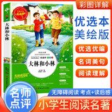 [美绘版] 大林和小林 小学生版无障碍阅读名师点评美绘插图学校班主任老师推荐学生经典名著课外阅读书小学生一年级二年级三年级四年级五年级六年级课外阅读必读书 人生必读书系列