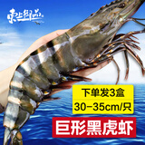 东上御品黑虎虾超大新鲜大虾老虎虾鲜活虎虾基围虾特大斑节虾海鲜 【巨形虾皇】黑虎虾 2.4斤(净重)  30-35cm