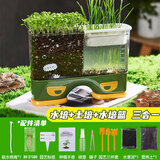 iosn水土培植物观察盒绿植物容器生长种植学生儿童盆栽幼儿园实验作业 【军绿色】水培+土培+水培篮