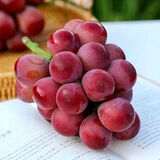 京觅云南妮娜皇后葡萄 2斤精品礼盒 红提生鲜水果新鲜中秋节 源头直发