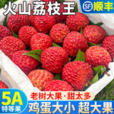 山姆大叔 火山荔枝王【顺丰空运-送货上门】海南新鲜水果礼盒送礼端午节 3斤【7A级 特大果】净重2.5斤 礼盒装【礼盒+保温箱+冰袋】