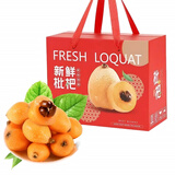 鲜其四川米易大五星枇杷高山枇杷当季新鲜水果现摘现发孕妇水果礼盒 甄选鲜果优选装 2斤