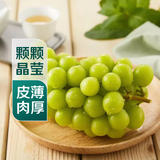 香印青提(阳光玫瑰) 500g