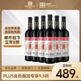 张裕先锋 世界之眼干红葡萄酒 乌迪尔产区 750ml*6 整箱装  进口红酒