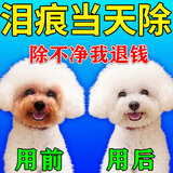 瑞美贝狗狗泪痕去除液比熊泰迪博美犬宠物眼药水清洁去眼屎流泪滴眼液 泪痕越重越好用【三瓶装】