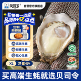 贝司令 鲜活乳山生态生蚝XL 净重4斤 16-22只 生鲜源头直发