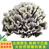 玉燕妃云南新鲜干巴菌 本地小哨干巴菌菇野生菌菇干巴革菌马牙菌送礼 新鲜干巴菌优级250g