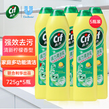 晶杰重油污强力清洁乳浴室厨房油烟机油污净锅底卫浴瓷砖不锈钢清洁剂 【五瓶装】强力清洁乳 725g*5瓶