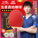 双鱼（DOUBLE FISH）五星级直拍乒乓球拍体育用品乒乓拍（京仓速发/附2球）V55-E