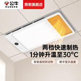公牛（BULL）风暖浴霸300x600式照明吹风排气多功能一体卫生间集成吊顶浴室灯 【送安装】Y26B/数显遥控款 六合一 免费上门安装收到货后请联系客服
