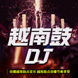 正版越南鼓DJ舞曲CD光盘重低音节奏嗨歌汽车音乐车载CD碟片无损音质音乐歌曲