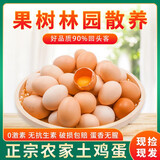 云依禾农庄 新鲜现捡土鸡蛋谷物虫草柴鸡蛋  粉皮散养草鸡蛋鲜鸡蛋 12枚