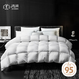 优雅宝贝 鸿润家纺 95%白鹅绒羽绒被 抗菌冬被 1200g 200x230cm 白色