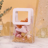 TaTanice 礼品袋2个装情人节表白礼物透明手提袋生日礼物袋礼品包装袋小号