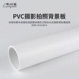 早行客磨砂PVC摄影背景板 白色100*200cm 拍照背景布背景纸抠图像反光板防水抗皱影楼拍摄道具