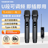 得胜（TAKSTAR） TS-K201无线话筒直播设备u段声卡套装家用唱歌ktv户外音响演出通用 TS-K302一拖二 | 充电版