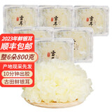 鲜窝窝 新鲜银耳6朵 800g 福建古田顺丰产地直发 鲜银耳 菌菇白木耳雪耳 鲜银耳整6朵800g