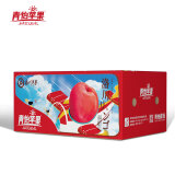 洛川苹果青怡陕西红富士净重5.5kg 单果210g起 新鲜水果礼盒