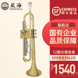 星海（XINGHAI INSTRUMENT）降b调小号乐器 XT-100/120学生考级儿童初学入门款学校乐队通用 升级XT-120型-白铜变音管