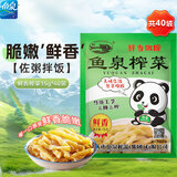 鱼泉榨菜 下饭菜 早餐小菜 鲜香榨菜15g*40袋 重庆特产