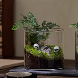 八芽趣味鲜活苔藓微型景观创意室内桌面生态绿植盆栽盆景懒人好养植物 清境草原 带玻璃杯