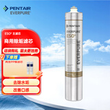 爱惠浦（Everpure）家用净水器直饮机净饮机主滤芯 ESO6 主滤芯