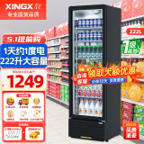 星星（XINGX）展示柜冷藏保鲜柜 饮料柜商用一级能效单门立式冰柜冰箱风冷直冷超市便利店陈列柜啤酒水果柜 直冷省电 1级能效222升 LSC-230YPE