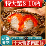 舟山红膏呛蟹整只酱母蟹宁波炝蟹梭子蟹咸蟹生腌螃蟹海鲜醉蟹即食 【单只3-4两】4只 老底子味道