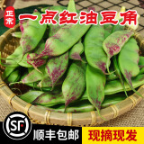 良知农哥【顺丰】东北油豆角 一点红/九月青豆角宽面豆角 开锅烂 健康轻食 一点红油豆角 5斤装