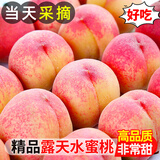 采缇（CAITI）现货现摘山东蒙阴水蜜桃大果5斤当季新鲜桃子脆甜孕妇水果整箱 8斤装 中果