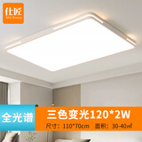 仕匠客厅大灯现代简约大气新款超薄led吸顶灯家用大厅灯具中山卧室灯 110*70cm-三色变光120*2W