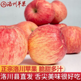 洛川苹果陕西延安特产红富士时令苹果水果礼盒送苹果生鲜新鲜脆甜整箱批发 净重8.5斤80-85mm 铂金大果脆甜