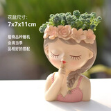 墨一【送货上门】多肉植物带盆组合套装多肉办公室绿植花卉三八节礼物 【仙女花盆】安静+多肉栽好