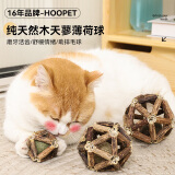 华元宠具（hoopet）猫薄荷球猫咪玩具木天蓼磨牙洁齿逗猫棒零食幼小猫猫自嗨解闷用品