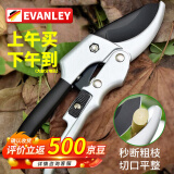 EVANLEY 德国果树剪修枝剪刀剪树枝专用剪子SK5园林园艺省力花枝剪果手动 升级配置SK5钢特氟龙滑轮省力剪