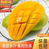 元珍鲜诚 海南青皮芒果 新鲜水果 热带大青 芒果 孕妇整箱现摘当季水果 5斤装（净重4.5斤）单果150g+