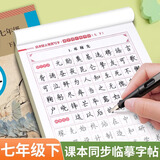 2025版七年级语文字帖上册下册同步人教版初中生八九专用初一钢笔写字临摹小升初中学生硬笔正楷书法每日一练贴临摹钢笔练习练字本 【七年级下册】语文同步字帖