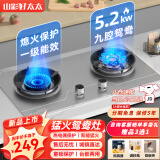山彩好太太燃气灶双灶5.2KW一级能效天然气家用聚能猛火节能液化气煤气灶大火力台嵌两用煤气炉灶具 猛火鸳鸯灶+防风聚能+不锈钢 瓶装液化气20Y