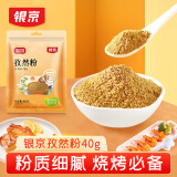 银京 孜然粉40g 香辛调味料炖肉腌肉调料烧烤烤串撒料 厨房调味品