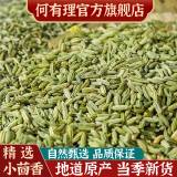 何有理小茴香小茴香粒茴香粉籽茴香炒菜炖肉香料调料大全克批发酒店餐馆大排档 小茴香1000克（划算）