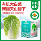 【有机大白菜】新疆新鲜霜降蔬菜 半亩园翠玉白菜生鲜叶菜礼盒装 16斤（2-4颗）