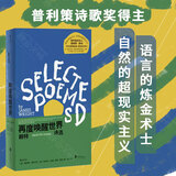 【旗舰店正版】再度唤醒世界:赖特诗选 2023年豆瓣书单 普利策奖诗人詹姆斯·赖特毕生诗歌精选集 诗歌现代诗外国文学书籍