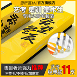 吾辰水粉笔套装美术生专用吾望星辰系列丙烯画笔油画笔专业扇形笔刷子勾线笔平头画画水洗猪鬃11支联考 吾望星辰水粉笔套装-11支装