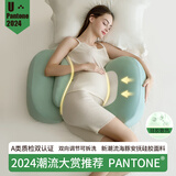 多米贝贝（Tomibaby）孕妇枕头护腰侧睡枕托腹海豚抱枕U型枕海豚护腰枕-PATONE蓝