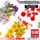 东之天地 Diy干花书签装饰透明瓶子贴纸儿童创意植物标本夹压花手工饰品小礼物明信片制作奖品伴手礼 Diy干花压花一包【款式随机】