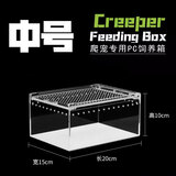 Barbarous Growth爬宠亚克力饲养盒爬虫守宫寄居蟹箱蜥蜴蛇角蛙蜘蛛蜗牛甲虫生态缸 中号饲养箱20*15*10