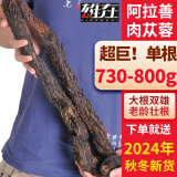 朕雄内蒙古阿拉善肉苁蓉锁阳整根泡酒男性滋补软质油性野外生可配礼盒 超巨，单根【730-1000克】以上