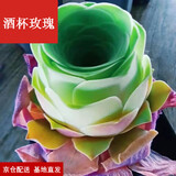 墨一（送货上门）山地玫瑰多肉水蜜桃酒杯玫瑰多肉植物盆栽花卉 酒杯玫瑰(塑料盆栽好) 不含盆