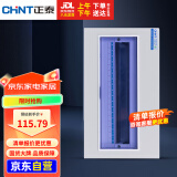 正泰(CHNT) 配电箱 强电箱家用 PZ30空开箱铁箱厚布线箱 暗装18回路